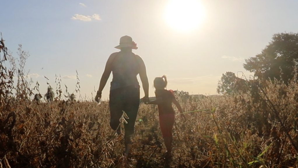 Lluvias dispersas: productores siembran a ritmo disparejo por falta de lluvia generalizada