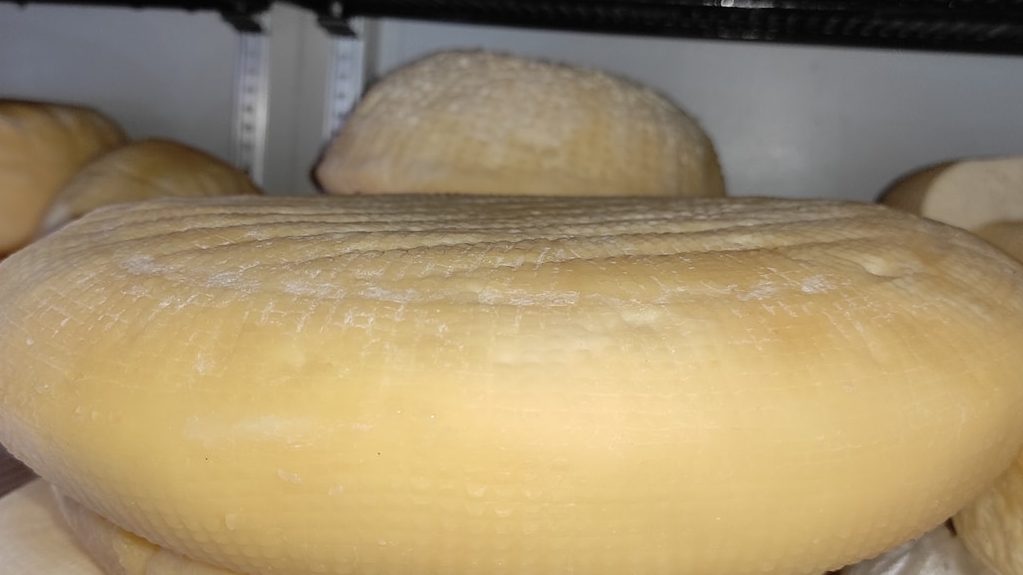 Comité de mujeres venderá queso y leche para la Semana Santa