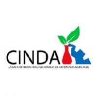 cinda